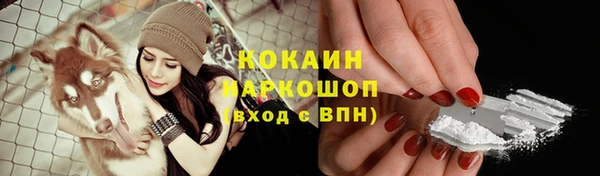 дживик Алзамай