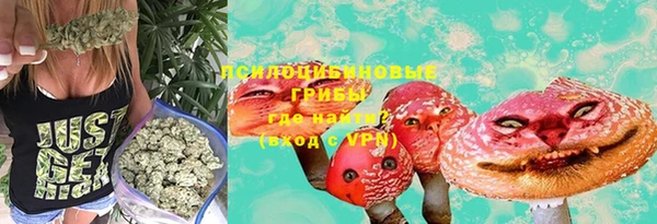дживик Алзамай